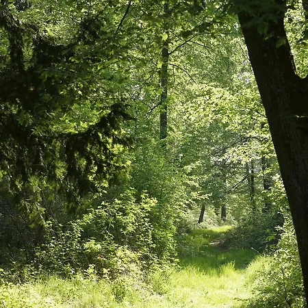 Hotel A L'oree Du Bois