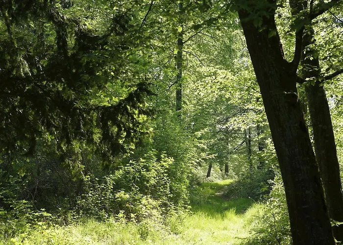 酒店 A L'oree Du Bois